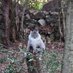 Suphia2A✈️🐈 (@sofisod) Twitter profile photo Suphia2A✈️🐈 (@sofisod) Twitter profile photo