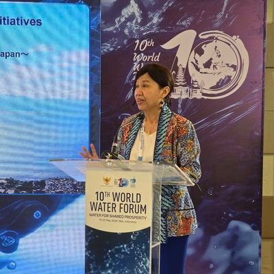 Secretary general of the United Cities and Local Governments Asia Pacific