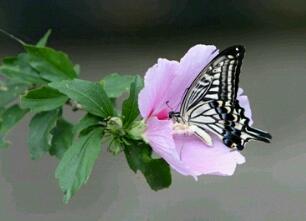 mp1005's profile picture. 공인중개사/부동산투자상담사/공,경매/풍수/역학  [상식이 통하는 사회를 ....]