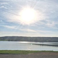 Flenn (@flenn559930) 's Twitter Profile