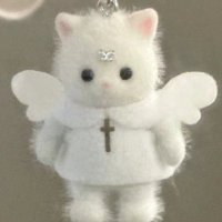 おにゃんこぽんぽこりん🤍🪽 (@ccr_live) 's Twitter Profile