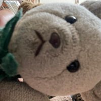 くーちゃん (@tmkfkyskchfmy) 's Twitter Profile Photo くーちゃん (@tmkfkyskchfmy) 's Twitter Profile Photo