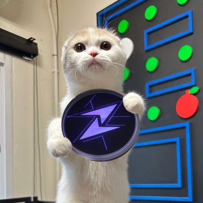 palmhothead's profile picture. Cat | Coffee | Game | Crypto | Blockchain | NFT