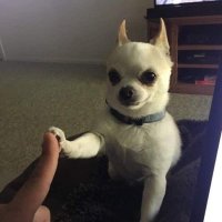 หนิก (@khyarat17) 's Twitter Profile Photo