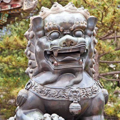 cryptonico21's profile picture. No bio.