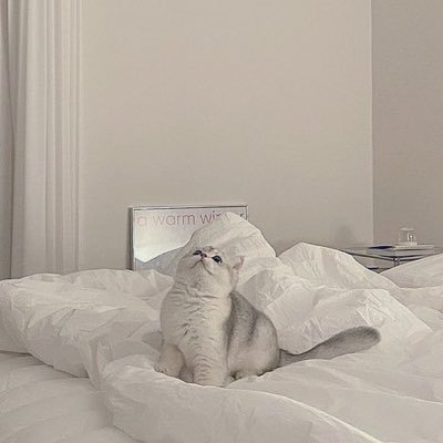 ___miii_3's profile picture. 01 : fff : 🐈‍⬛🫧🎧