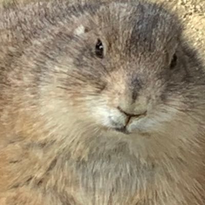 DANGO_MusiMusi_'s profile picture. 