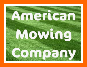 We are a local business and high quality residential mowing service also offering pet waste removal. Contact: 317-493-8078 or visit at http://t.co/6ml9Bd1nT0