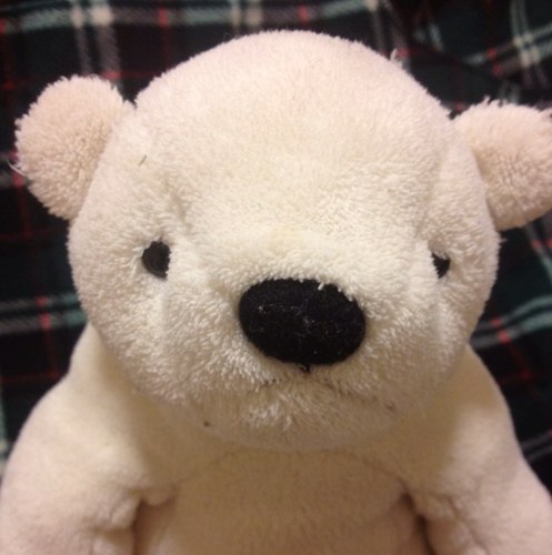 teruminalia's profile picture. 中1長女小4長男と夫と父母弟とわいわい子育て。実家の農家の手伝いと、勝間田絆づくり事業、いきなり思いつきイベント、歌と、ファシリテーション&グラフィックハーベストしてます。ラジオ体操とゆうゆうらんど情報も。