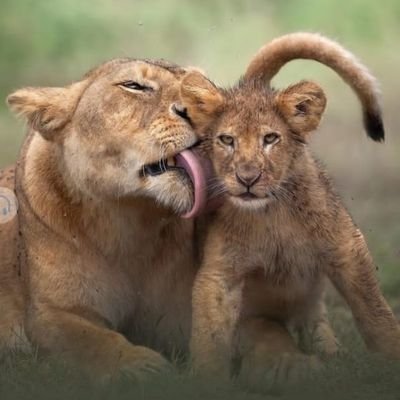 NomiKha18481447's profile picture. 