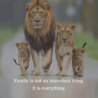 A person has no faith if he has no patience. CEO Heirs and Heros real estate and construction company LTD #ARSENALFAN #CRYPTO HODL #BNB