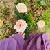 Sara (@piousdeenn) Twitter profile photo Sara (@piousdeenn) Twitter profile photo