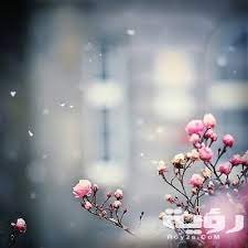 GFG_8754's profile picture. 