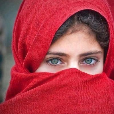 كلُّ ما أَكتبُهُ مُقدَّس..... العلمانيّة تَحتَ أَقدامي .....
