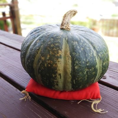 Theremin7737's profile picture. 