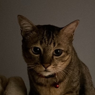 4601_x's profile picture. 💙 got7 | music | movie | anime ❤️ one piece