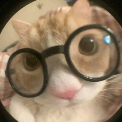 Me gusta pelearme con medio mundo y quejarme de todo, y como buen usuario de twitter tengo el kit de esquizofrenia incluido + su DLC el kit de paranoia