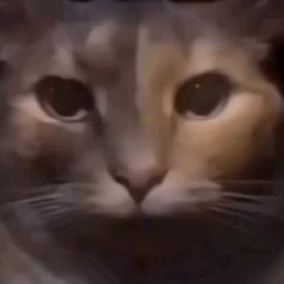 put0_a_xd's profile picture. 