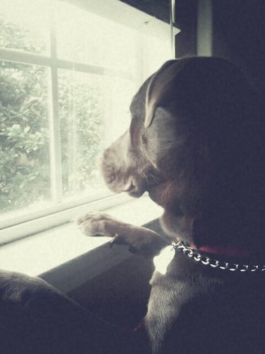 EthanJTerry's profile picture. 