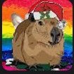 NOPNOI's profile picture. 