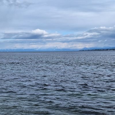 JohannesSal7978's profile picture. Student