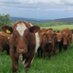 Edinvale Farm ๐ฑ๐ (@edinvalefarm) Twitter profile photo Edinvale Farm ๐ฑ๐ (@edinvalefarm) Twitter profile photo