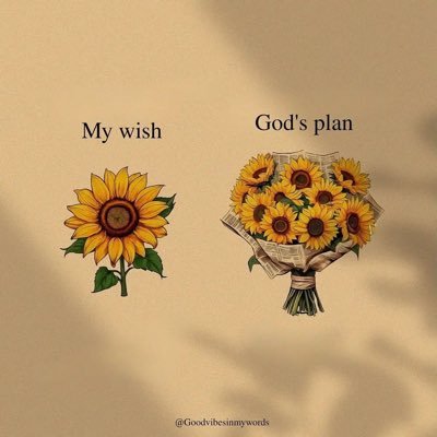 Stepinmine's profile picture. Funny, Fashion Designer, Chemist