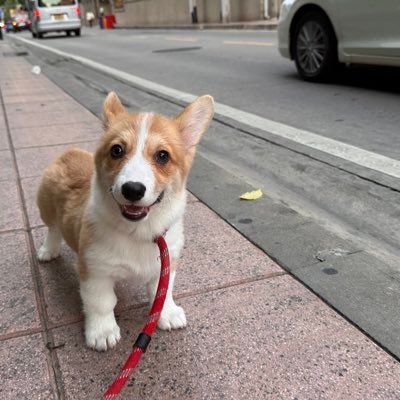 ariyoshi_r30205's profile picture. 