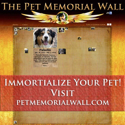 The Pet Memorial Wall; a unique interactive tribute. Honor your pet and share with others who understand. http://t.co/d4KBwWSVoS