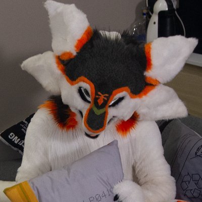 GeriTheFox's profile picture. lvl 26 avali from Hungary 🇭🇺 | male he/him | sometimes annoying as hell | DIY & IT nerd | Follow with your own risk | sometimes lewd
❤️ @Maaar10avali