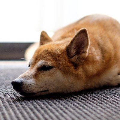 はんとさんのプロフィール画像
