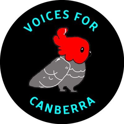 Voices for Canberra is a volunteer not-for-profit group aiming to endorse a Community Independent candidate for the federal electorate of Canberra