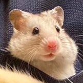 たおさんのプロフィール画像