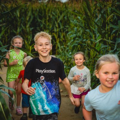 The Wizard Maze is a Summer holiday children's activity with a maze of maize, activity and play area, farmyard friends, a cafe and events and services