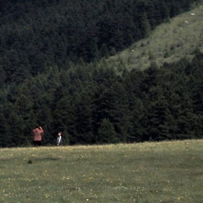 avouladre's profile picture. 