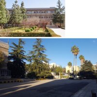 mohannad aljondi (@mohannadrik) Twitter profile photo