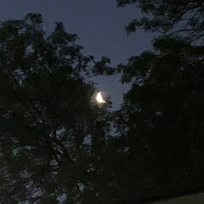 _erbal_acidd's profile picture. |18 (he/him)| also hi