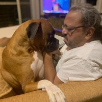 The Shah of Blah 🌈 (@mrgnk) 's Twitter Profile
