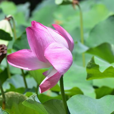 mundoanother's profile picture.