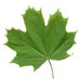 Freeman & Co. (@freemanandco) Twitter profile photo Freeman & Co. (@freemanandco) Twitter profile photo