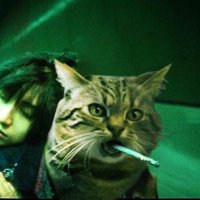 neko_be ( A , A )๐ฅ (@neko_bea_a) 's Twitter Profile