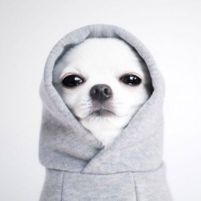 Auni313842's profile picture. ADHDの民草。ストラテラ＋コンサータでクリエイター業を続行中。副作用きついし、もっと楽に仕事をしていける方法を模索中。いったん内省のつぶやき。