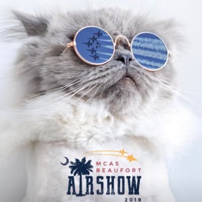 wassan_31's profile picture. Aviation ✈︎ | Nikon | 轟音黒煙大好物 | 日本酒 | 🇯🇵×🇹🇼