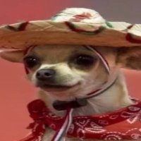 CEAN0 (@cean0notreal) 's Twitter Profile