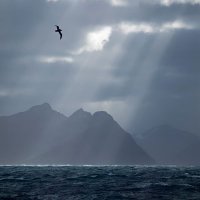 JA (@ja_x20) Twitter profile photo