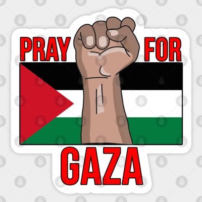 Palestinian pharmacist from GAZA 🇵🇸🍉
Support me By FOLLOW & RETWEET 🇵🇸🍉