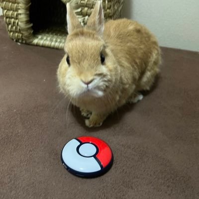 pksr_shown's profile picture. 無言フォローすみません！ 相互になりましょう！6/1作成。