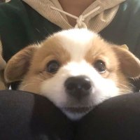 chen以 (@chen922170) 's Twitter Profile