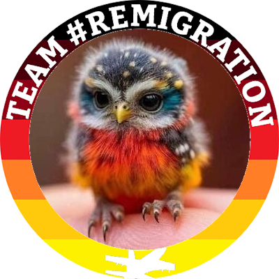 not_tummygenie's profile picture. Gio Scotti Nationalist