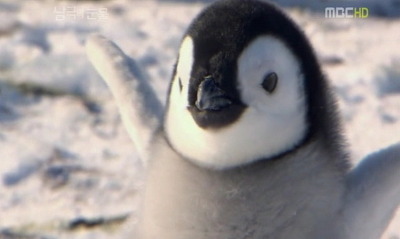 cheonnue's profile picture. 안뇽안뇽 :-^